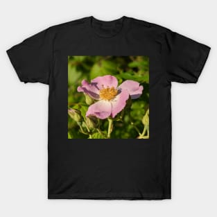 Pink Flower in Field 2 T-Shirt